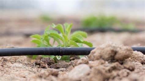 La France Lance Un Plan De Soutien L Irrigation Solutions