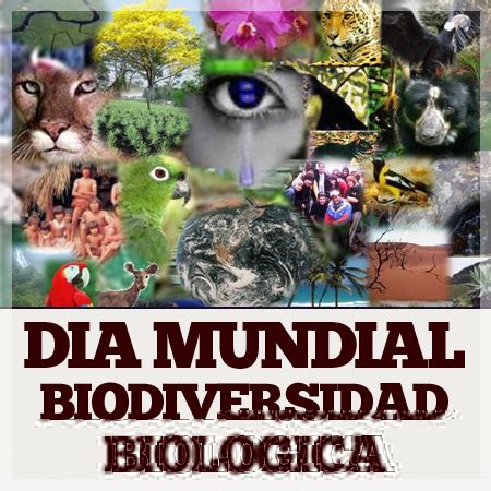 Im Genes Del D A Internacional De La Biodiversidad Biol Gica En