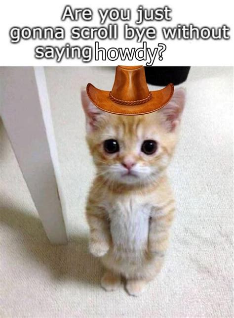 A Howdy Meme Memes