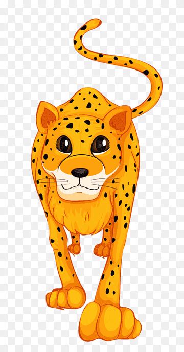 Compartir Leopardo Dibujo A Color Ltima Billwildforcongress