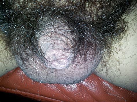 Very Hairy Porn Pictures XXX Photos Sex Images PICTOA