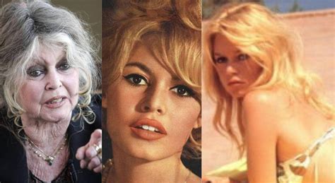 Brigitte Bardot I Anni Della Musa Eterna Una Vita Da Sex Symbol Oggi Dice Sono Felice