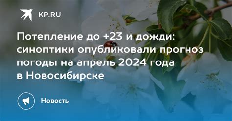 Потепление до 23 и дожди синоптики опубликовали прогноз погоды на