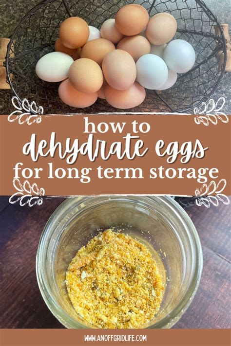 How to Dehydrate Eggs for Long Term Home Storage and Use - An Off Grid Life