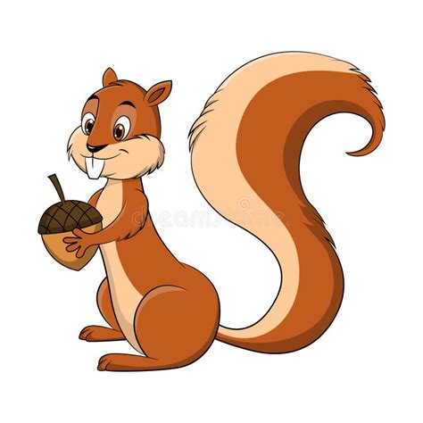 Cartoon Holding Nut Squirrel Stock Illustrations 440 Cartoon Holding