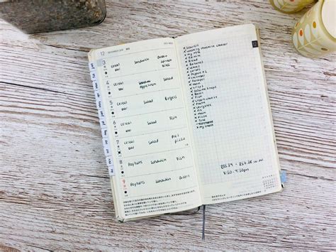 Health Fitness Planner Hobonichi Weeks Set Up Polkadotparadiso