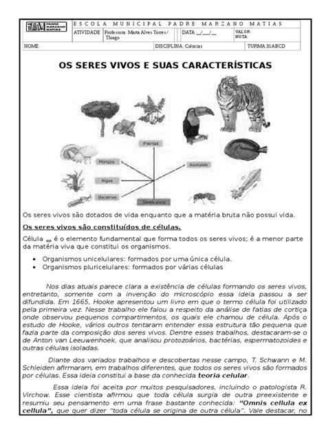 Seres Vivos e Suas Caracteristicas | PDF | Célula (Biologia) | Organismos