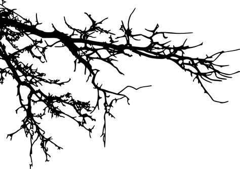 Branch Tree Silhouette Clip art - branches png download - 1024*724 ...