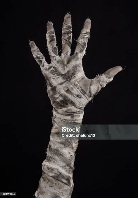 Halloween Theme Terrible Old Mummy Hands On A Black Background Stock