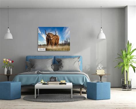 Highland Cow Canvas Farmhouse Wall Decor Highland Cow Photo Print