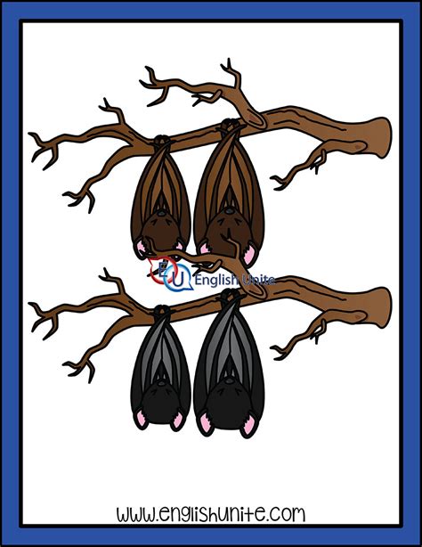 Bats Sleeping Clipart