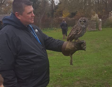 Leeds Castle Falconry Experiences - All You Need to Know BEFORE You Go