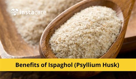 12 Incredible Benefits Of Ispaghol Psyllium Husk