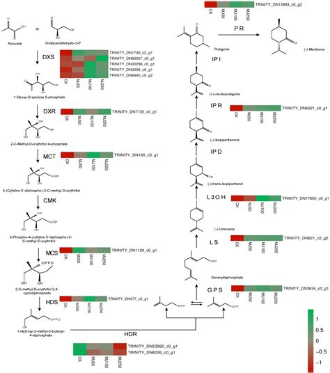 CIMB Free Full Text Transcriptomics Reveals The Molecular Basis For