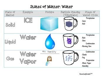 States of Matter-Water Cycle by DazzlingDarby4th | TpT