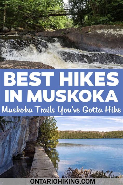 Best muskoka hiking trails ultimate guide to hiking in muskoka – Artofit