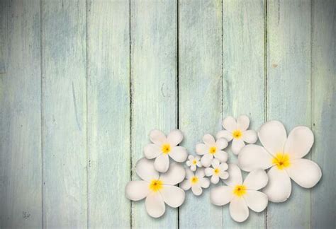 background bunga stock  images  backgrounds