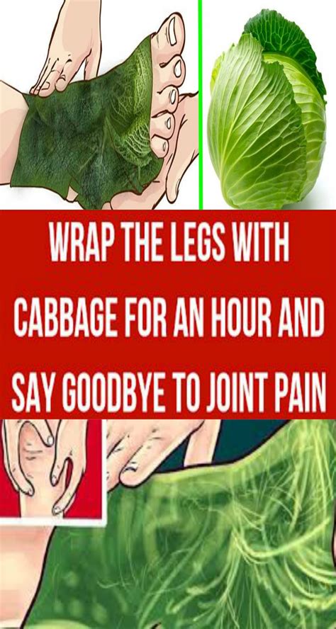 Wrap The Legs With Cabbage For An Hour And Say Goodbye To Joint Pain Healthy Steam 100