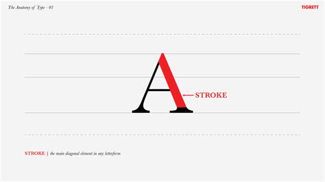 Typographic Terminology The Anatomy Of Type 01 The Basics The