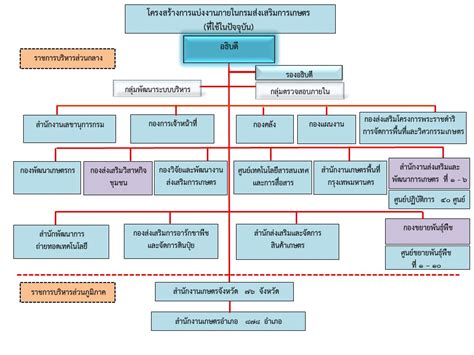 โครงสร้างหน่วยงาน ศูนย์ข้อมูลข่าวสาร