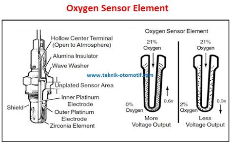 Oxygen O2 Sensor Function And Location Info Rumah Cluster