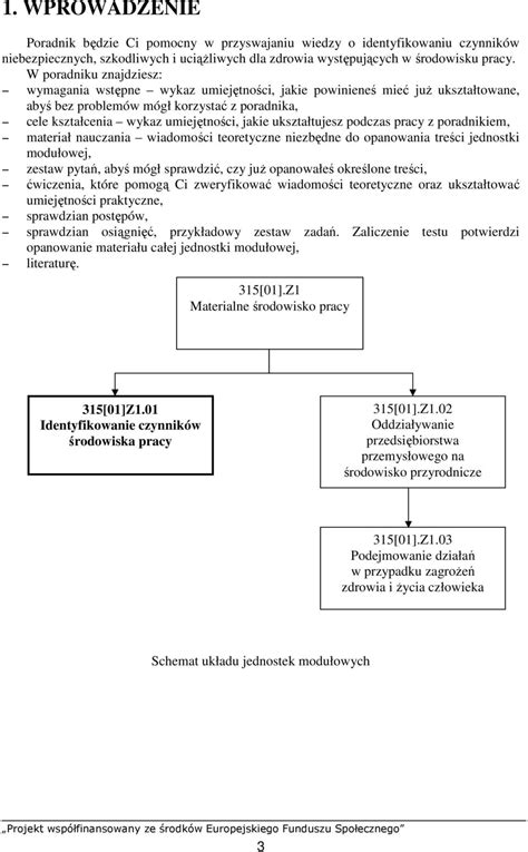 Identyfikowanie czynników środowiska pracy 315 01 Z PDF Darmowe pobieranie