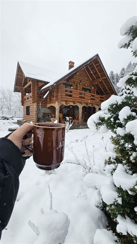 Cabana De Inchiriat In Bucovina Libera De Craciun Ocupata De Revelion