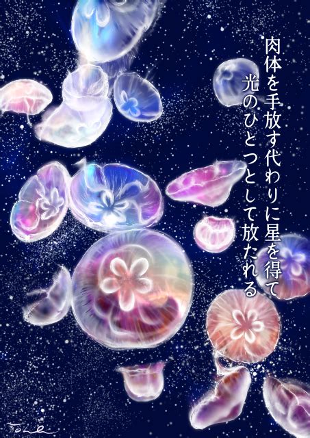 最新 クラゲ 絵