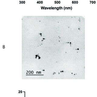 Representative Sem Micrographs Of The Hydrogels Pva A And Pva Agnps