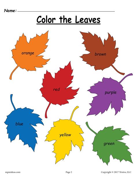 Fall Leaf Color Words Worksheet Cores Educação