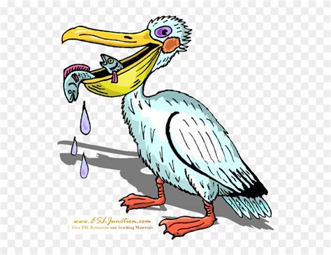 Pelican Clipart 2607850 Pinclipart