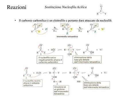 Reazioni Ppt Scaricare