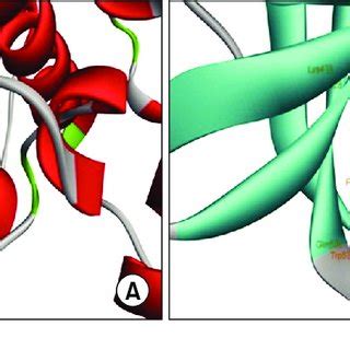 Docking For PLX4032 In Wild Type BRAF And V600E Mutant Binding Patterns