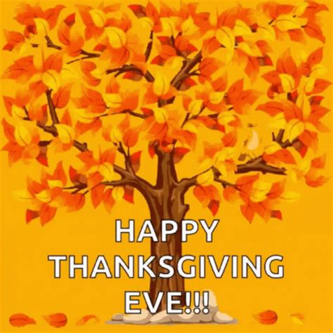 Happy Thanksgiving Eve GIF - Happy Thanksgiving Eve - Discover & Share GIFs