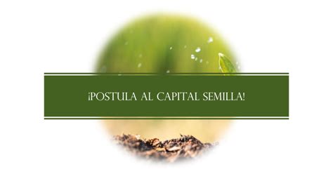 Como Postular Al Capital Semilla Tech Info