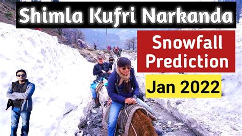 Shimla Kufri Narkanda Live Snowfall Prediction Jan 2022 Ii For Tour