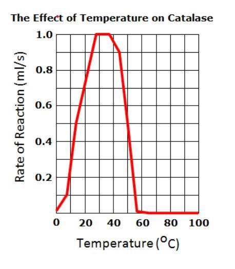 The Above Graph Shows How Temperature Affects The Rate Of A Reaction