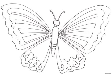 Coloriage Papillon 10 Dessin Papillon à Imprimer