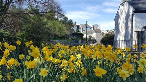 River Lym Path Love Lyme Regis