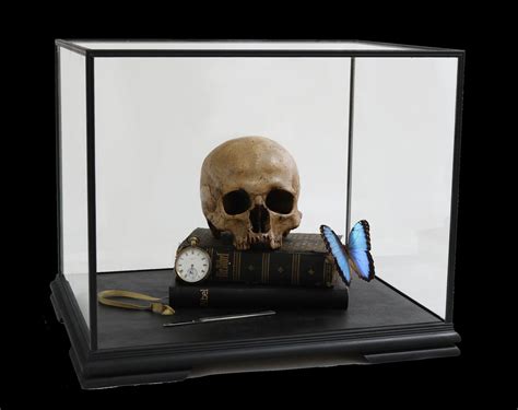 Memento Mori With Heilige Schrift And Morpho Peleides 2021 By The