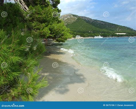 Formentor Beach On Mallorca Royalty-Free Stock Image | CartoonDealer ...