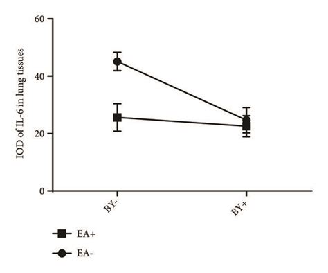 Expression Levels Of Il In Lung Tissues A Lung Tissue