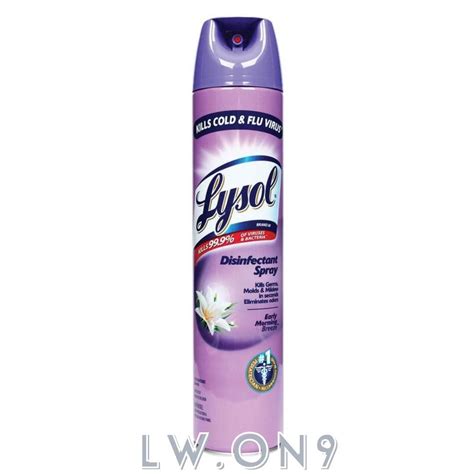 Lysol Disinfectant Spray Kills 99 9 Of Viruses And Bacteria Available 340g And 510g Beauty