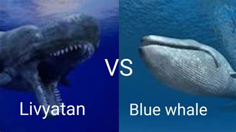 Blue Whale Vs Livyatan Jurassic World Who Will Win Youtube