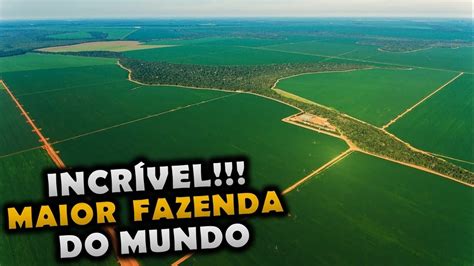 AS INACREDITÁVEIS 5 MAIORES FAZENDAS DO MUNDO YouTube