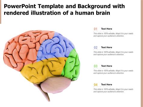 Template And Background With Rendered Illustration Of A Human Brain Ppt