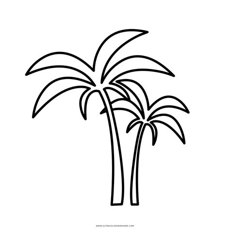 Dibujo De Palmera Para Colorear Ultra Coloring Pages