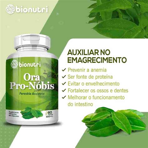 Ora Pro Nóbis Pereskia Aculeata Bionutri