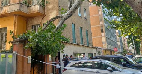 Roma Un Albero Cade Su Un Condominio In Viale Liegi