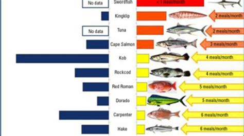 Guide To Discern ‘potent Mercury Levels In Fish